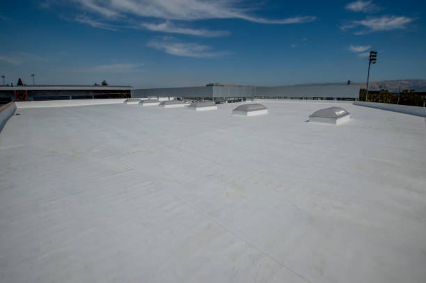 Best Roof Moss and Algae Removal  in Rio Linda, CA