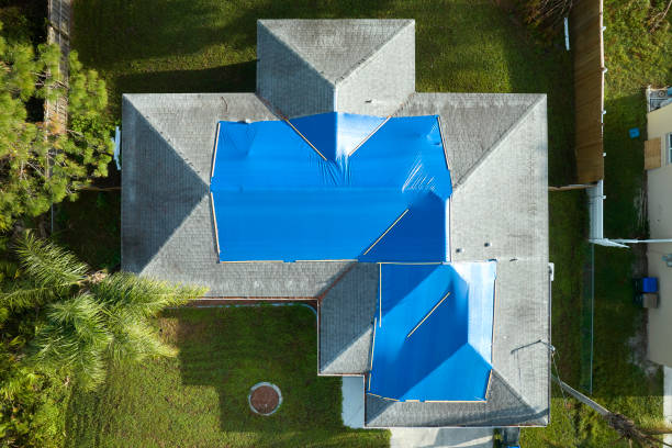 Best Roof Coating and Sealing  in Rio Linda, CA