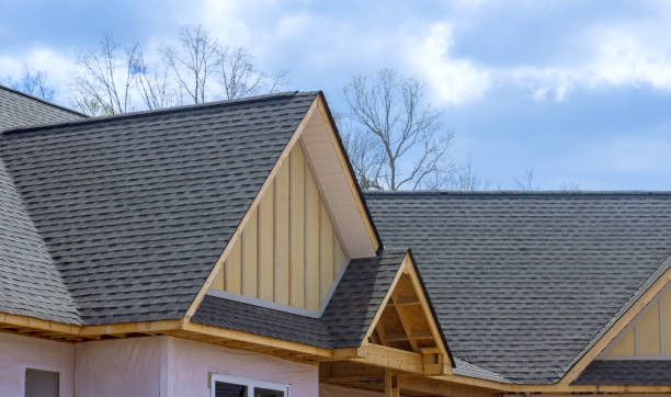 Best Solar Panel Roofing Installation  in Rio Linda, CA