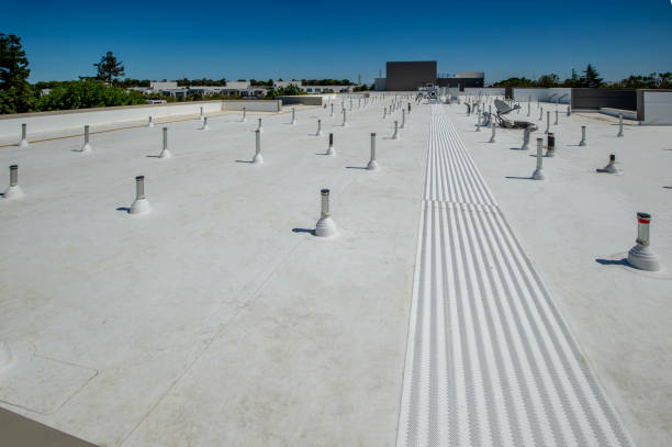 Best Roof Insulation Installation  in Rio Linda, CA